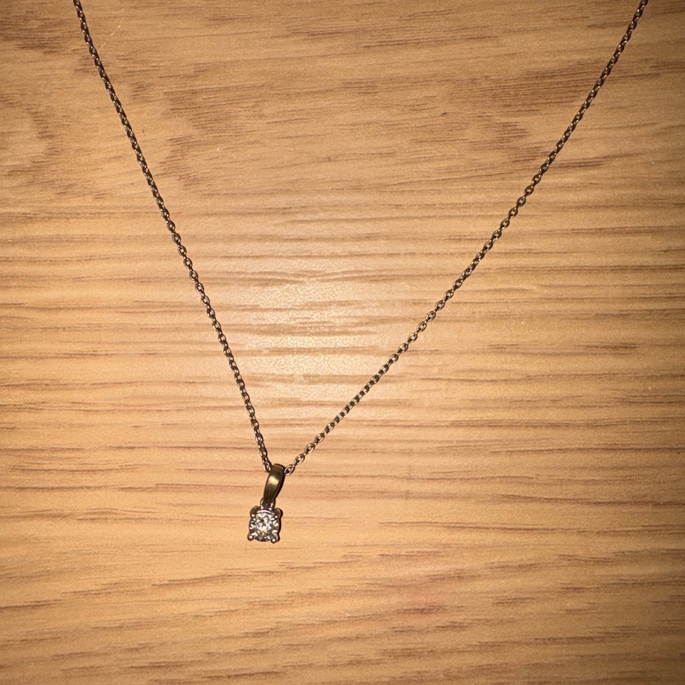 Fred Meyer Jewelers Diamond Necklace USED